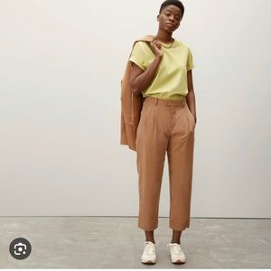 Everlane Put Together Pleat Pant
